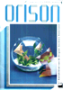 Orison-1999-1
